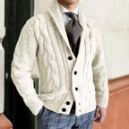 2025 autumn and winter new knitted cardigan men's lapel long-sleeved twisted sweater jacket